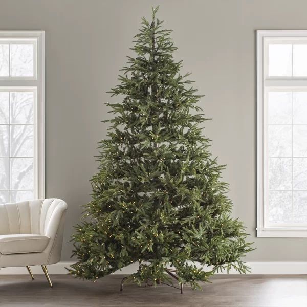 Jersey Fraser Green Realistic Artificial Fir Christmas Tree with Lights | Wayfair Professional