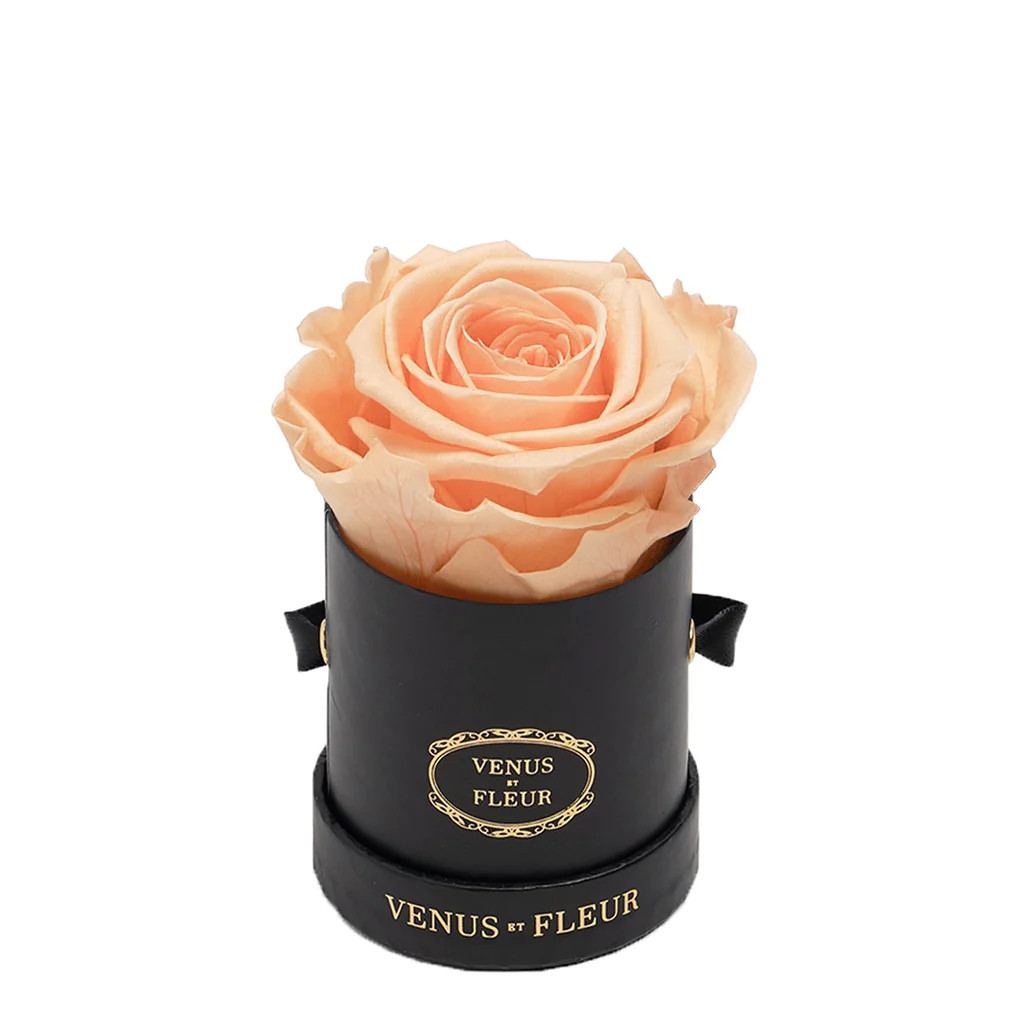 Le Mini™ Round | Venus ET Fleur