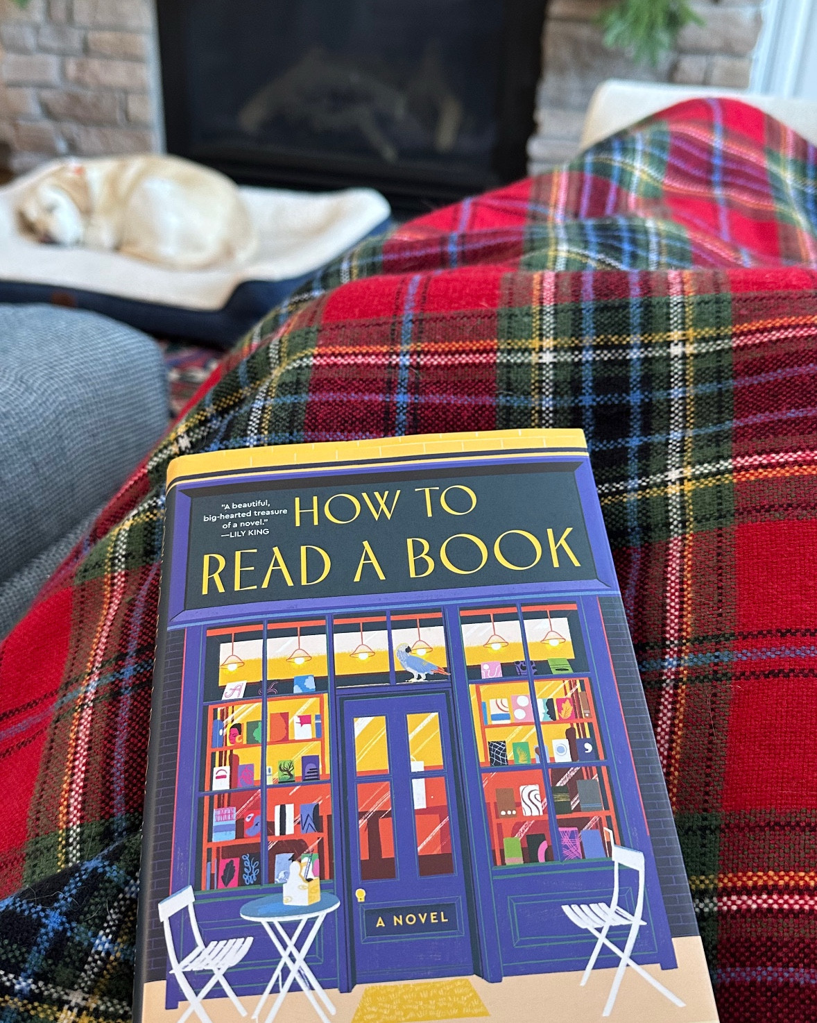 I am just not great about resting. However, I was convicted that God really does tell us to rest for our own good. I sat on my comfy couch… with my comfy Christmas blanket, my best reading glasses and best lip balm and read for 3 hours today! Just what I needed! Love this book in case you are looking for a good light and easy read or stocking stuffer ♥️

#LTKSaleAlert #LTKHoliday #LTKGiftGuide