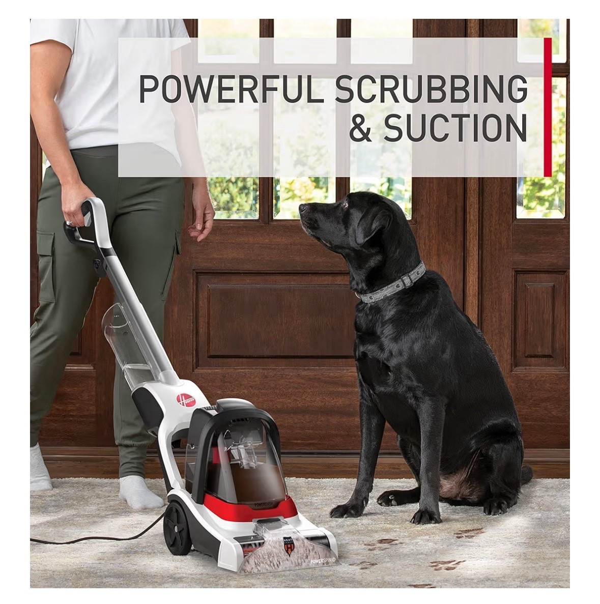 A collection of steam cleaners for the house to help with pet and high traffic cleaning 


#LTKmomlife #LTKSaleAlert #LTKHome