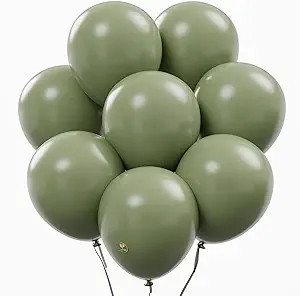 AFTERLOON® Biodegradable Balloons 24 pcs Sage Green 10 Inch, Matte Color Thickened Extra Strong ... | Amazon (US)