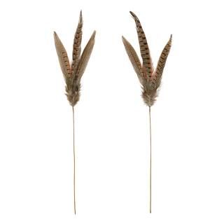 Pheasant Feather Picks by Ashland® | Michaels Stores