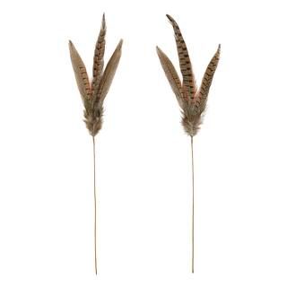 Pheasant Feather Picks by Ashland® | Michaels Stores