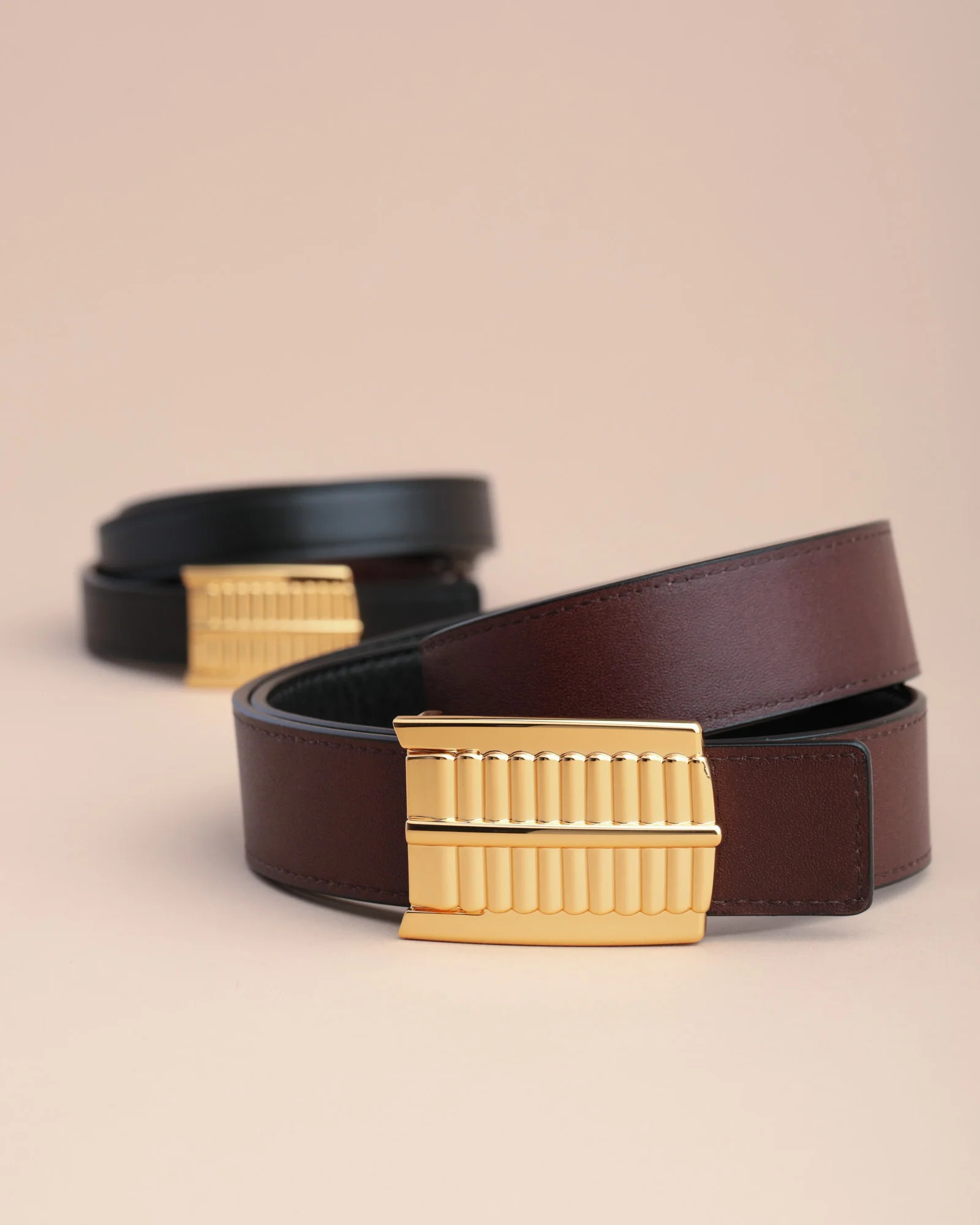 Reversible Equinox Belt | Edited Pieces