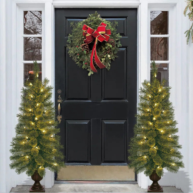 3.5' Lighted Pine Christmas Tree | Wayfair North America