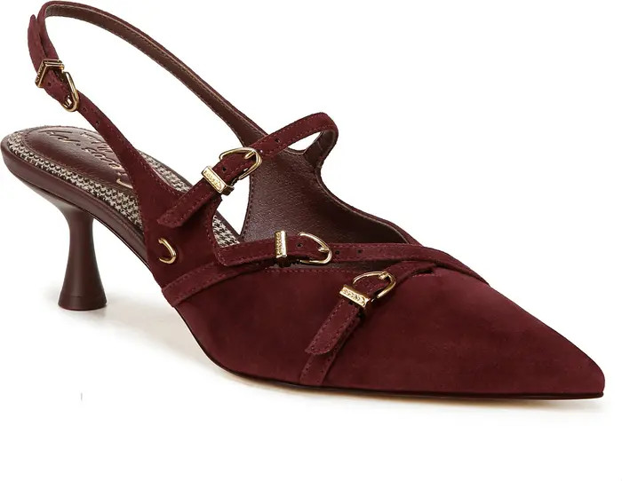 Fraya Slingback Pointed Toe Pump (Women) | Nordstrom