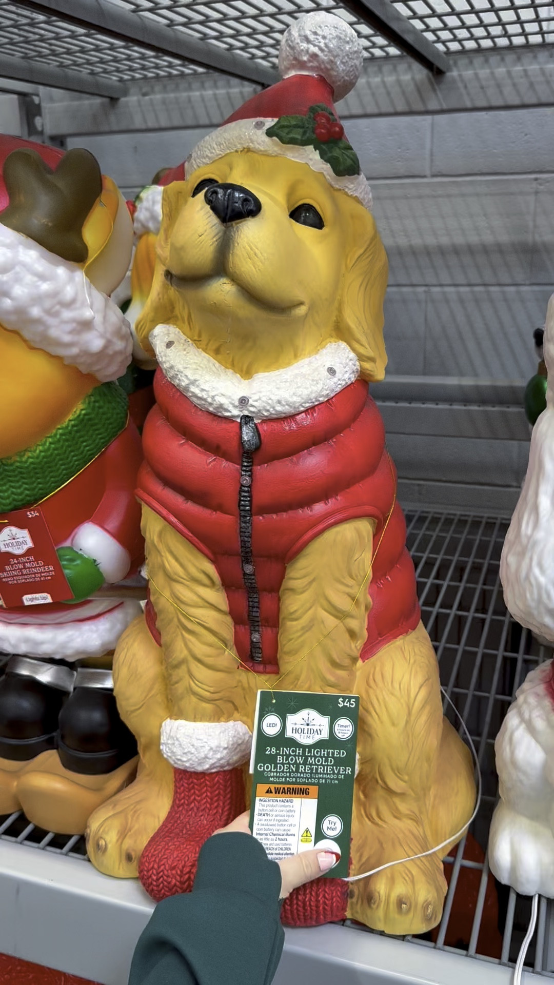 The cutest little snow Golden ♥️🥹🎄 

#GoldenRetriever #Christmas #Decor #Home #Holiday #BlowMold #PlasticDecor #LightUp #PuppyDecor

#LTKHome #LTKHoliday #LTKWatchNow