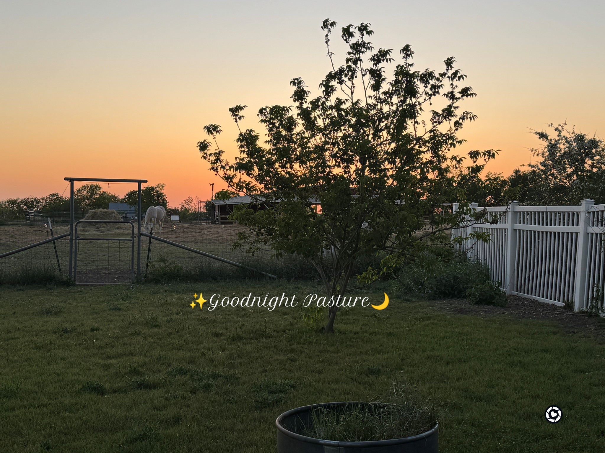 The best sunsets in Texas ✨🌙

#countrysunset #texascountry #countryviews #country #western

#LTKFestival #LTKTravel #LTKSeasonal