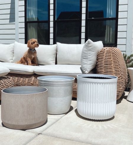 Must have Walmart planters! 

These planters are super affordable and the quality is amazing! 

Outdoor, backyard, front porch, garden, gardening, outdoor furniture, outdoor decor, fluted planter, concrete planter, plastic planter, resin planter 
Living room, console table, entryway, dining table, dining chair, chandelier, neutral home decor, organic modern, faux greenery, upholstered chair, cane console, entryway console, sideboard, new arrivals, Amazon finds, home decor, neutral decor, target home,
Walmart, Amazon home, entryway decor, sofa, couch, lamp, lighting, bench, loveseat, cabinet, throw pillow, throw blanket, sideboard, arch cabinet, nightstand, end table, cane furniture, black cabinet, bedroom furniture, living room furniture, area rug, neutral rug, neutral bedding, white bedding, vase, shelf decor, coffee table, round coffee table, square coffee table, Jessicaannereed, Jessica Reed, modern decor transitional decor, affordable home decor, home finds, look for less, splurge bs save 



Walmart home

#LTKhome #LTKfindsunder50
