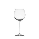 Schott Zwiesel Tritan Crystal Note Stemware Set of 6 White Wine Glass, 15-Ounce, Clear | Amazon (US)