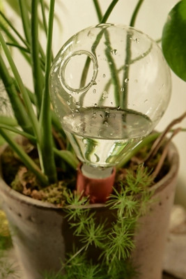 Plant Watering System | Anthropologie (US)