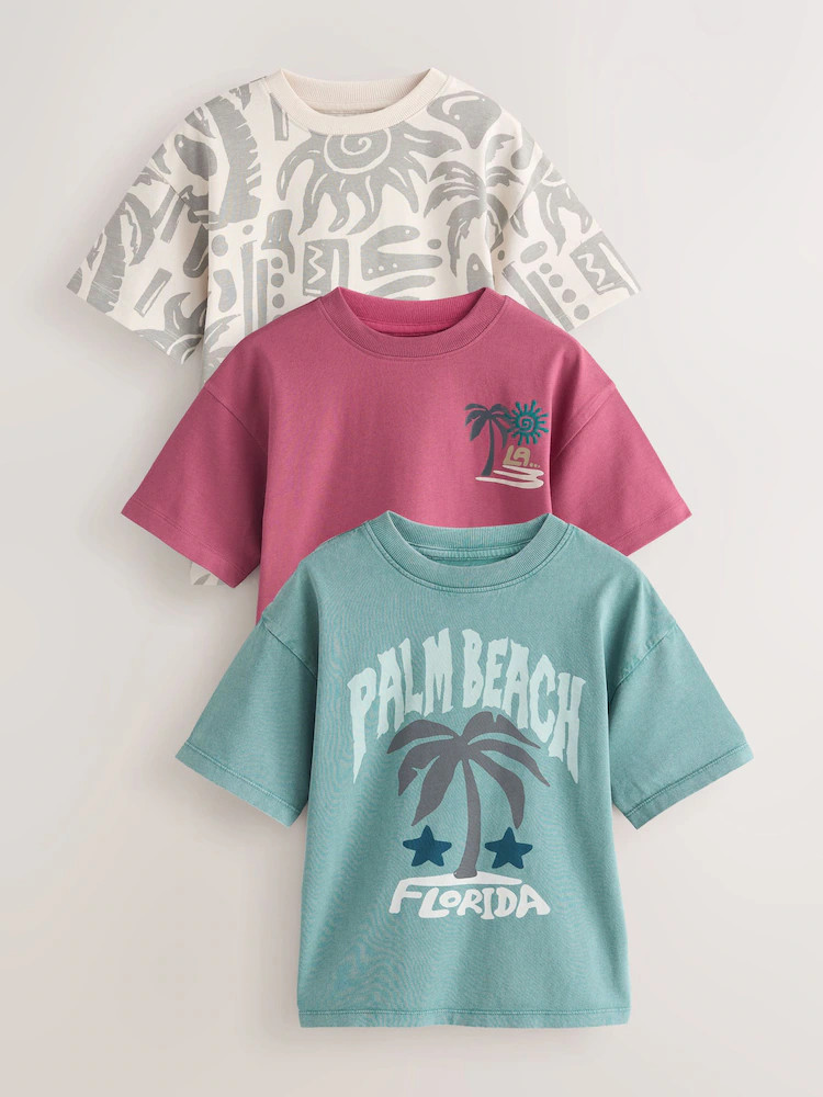 Berry/Mineral/Ecru Relaxed Fit Graphic Print Short Sleeve T-Shirts 3 Pack (3-16yrs) | Next US