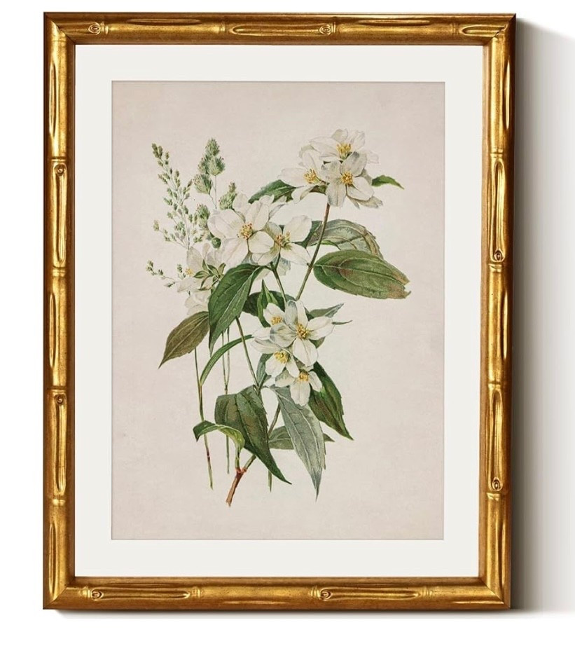 So pretty! Trying to decide which one to order! 