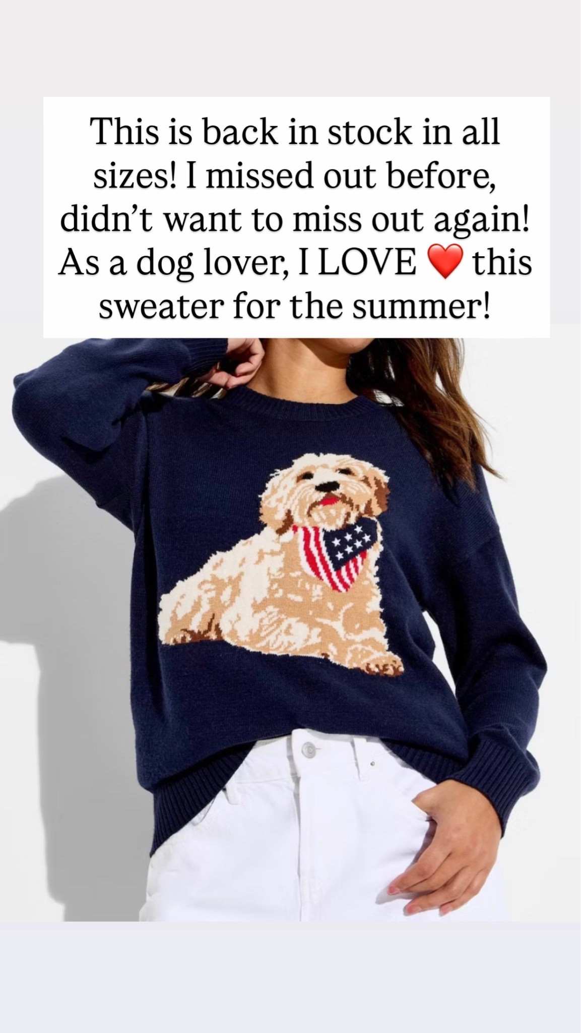 Dog flag sweater

#LTKootd