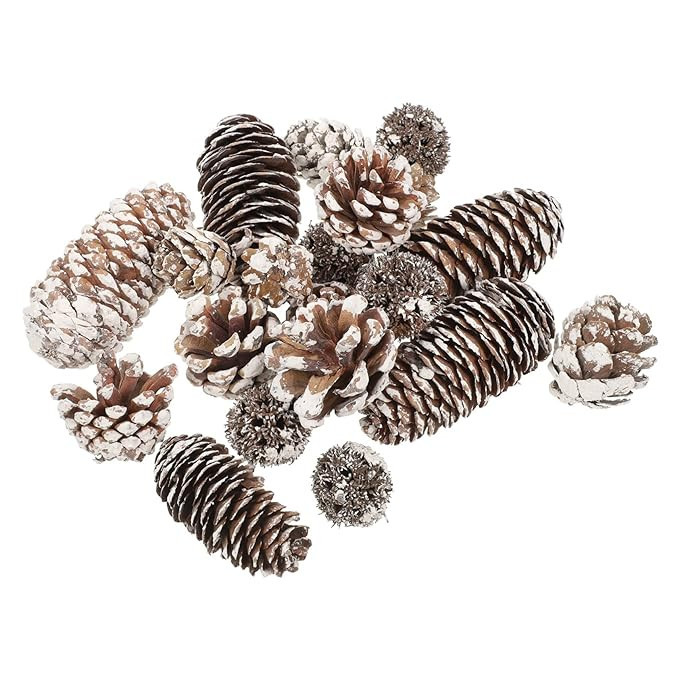 ADOCARN 1 Set DIY Handmade Materials Pine Cones for Xmas Pine Cones for Crafts Rustic Pinecones V... | Amazon (US)