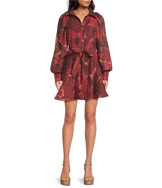 CIEBON Silvie Floral Print Mandarin Collar Long Sleeve Mini Dress | Dillard's | Dillard's