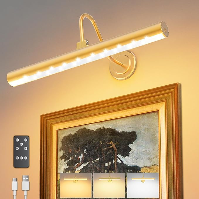 Bridika Picture Light Battery Operated, Wireless Picture Light with Remote, 3 Color Modes and Dim... | Amazon (US)