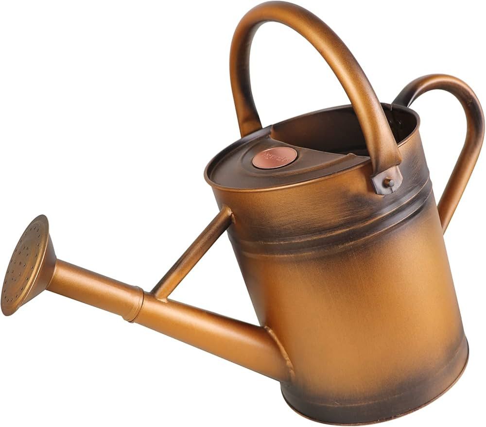 1 Gallon Galvanized Steel Watering Can with Removable Spout for Outdoor and Indoor Gardening, Met... | Amazon (US)