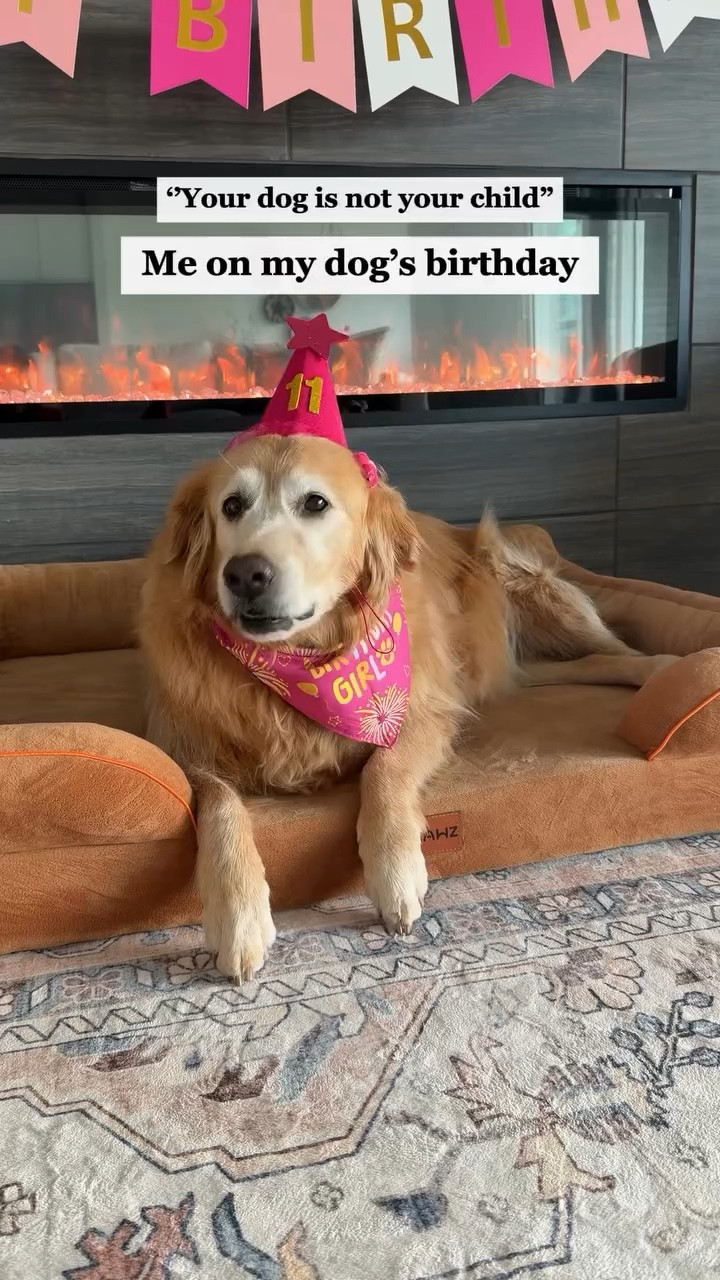 Happy 11th birthday to my forever baby 🐾💗
11 years of unconditional love, tail wags, and being the best part of our life.

IB:@ounceofbailey

#goldenretriever #birthdaygirl #dogbirthdays #souldog #dogsofinstagram

#LTKHome