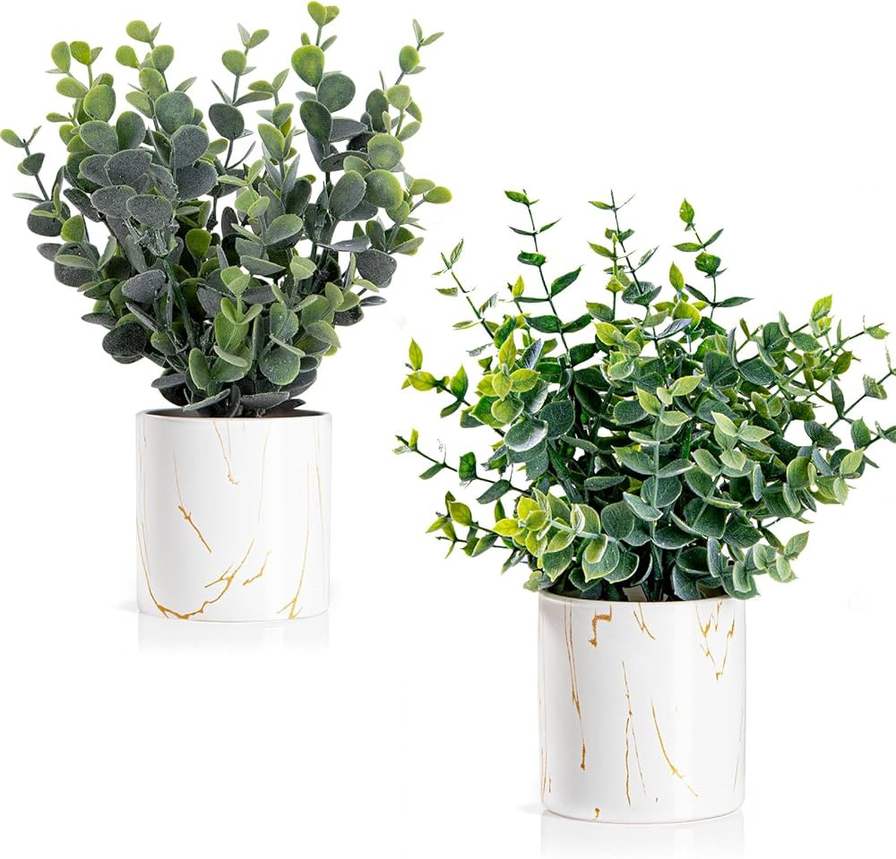 Artificial Eucalyptus Plants in White Ceramic Pots, 2 Pack Faux Greenery Decor with Different Lea... | Amazon (US)