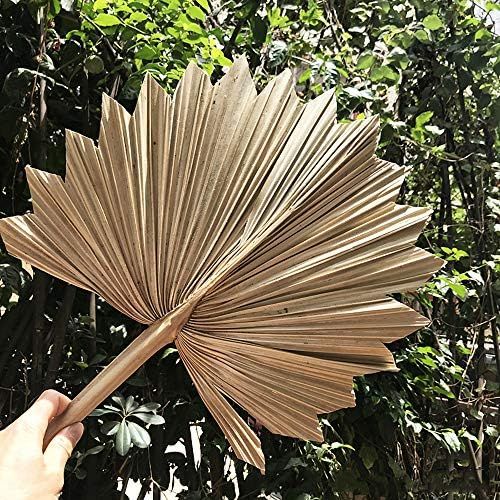 Focalmotors 1PC Natural Dried Palm Fan Leaves Artificial Flower DIY Wedding Party Home Decor | Amazon (US)