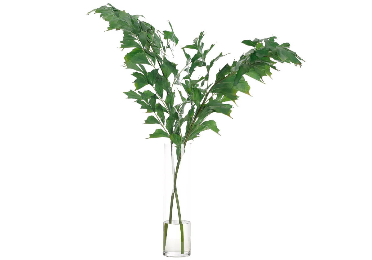 FISHTAIL PALM | 31" H | Alice Lane Home Collection