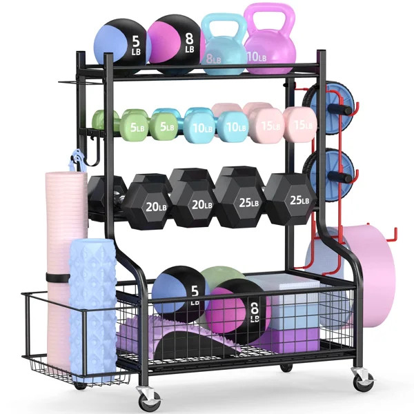 Robbinston Freestanding Dumbbell Storage Rack | Wayfair North America