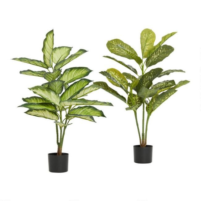 Faux Dieffenbachia Plants Set of 2 | World Market
