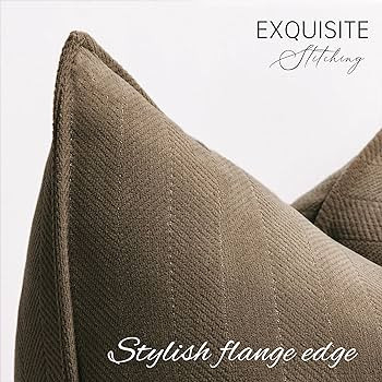 ZWJD Brown Pillow Covers 24x24 Set of 2 Chenille Pillow Covers with Elegant Design Soft and Luxur... | Amazon (US)