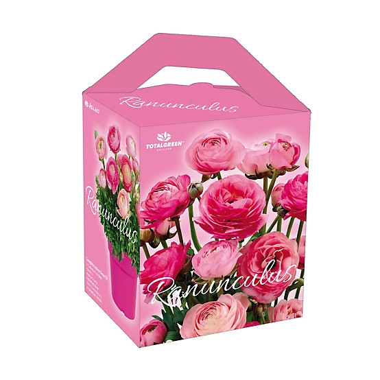 TotalGreen Holland  Ranunculus Grow Kit | Tractor Supply