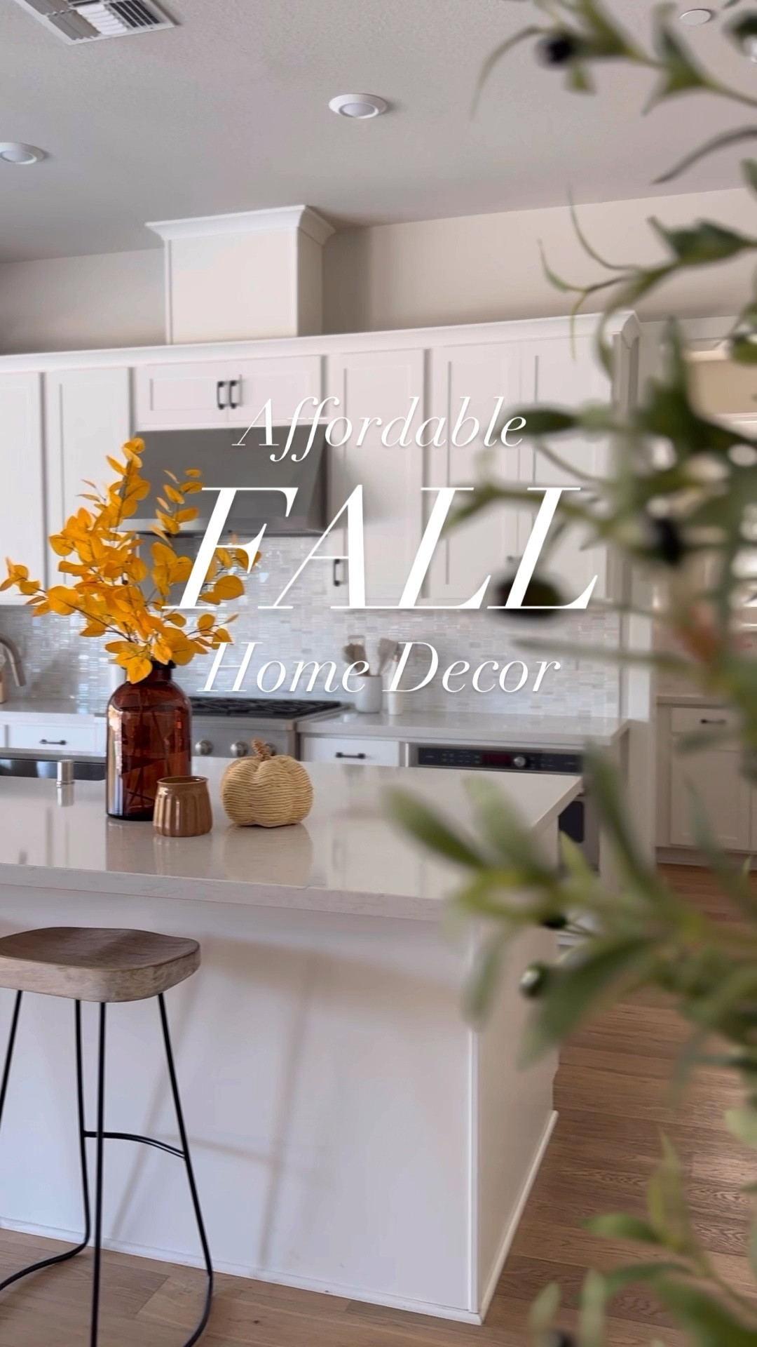 Affordable fall home decor from Target! Everything under $40!

Target style
World market
Home goods
Marshalls
Pumpkin home decor
Pumpkin pillow
Table centerpiece 
fall vase
Fall candle
Shelf decor

#LTKSeasonal #LTKHome #LTKVideo