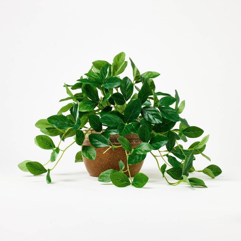 This faux trailing gentian plant is perfect for styling book cases and shelves where real sunlight can’t reach! 

#LTKhome #LTKstyletip #LTKSeasonal