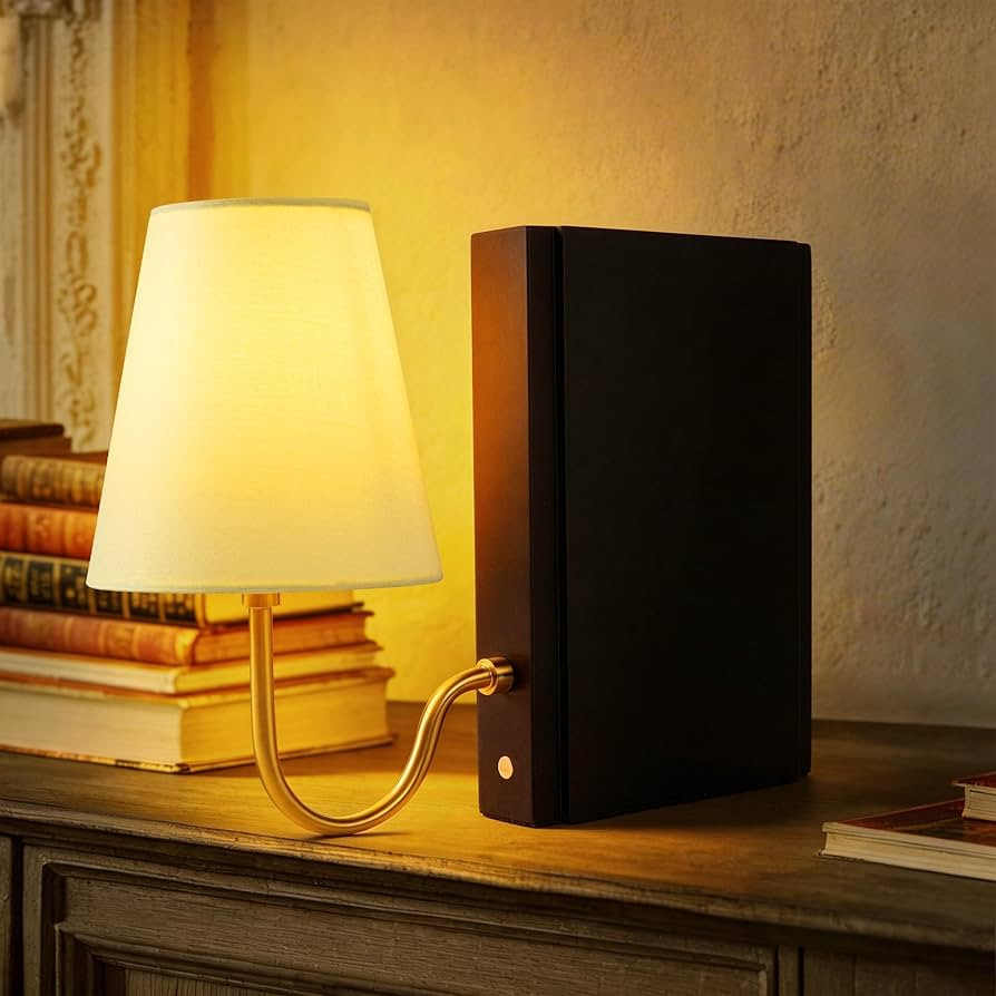 AELS Wooden Bookshelf Lamp with Bulb, Cordless Touch Dimmable Table Lamp with Linen Fabric Shade,... | Amazon (US)