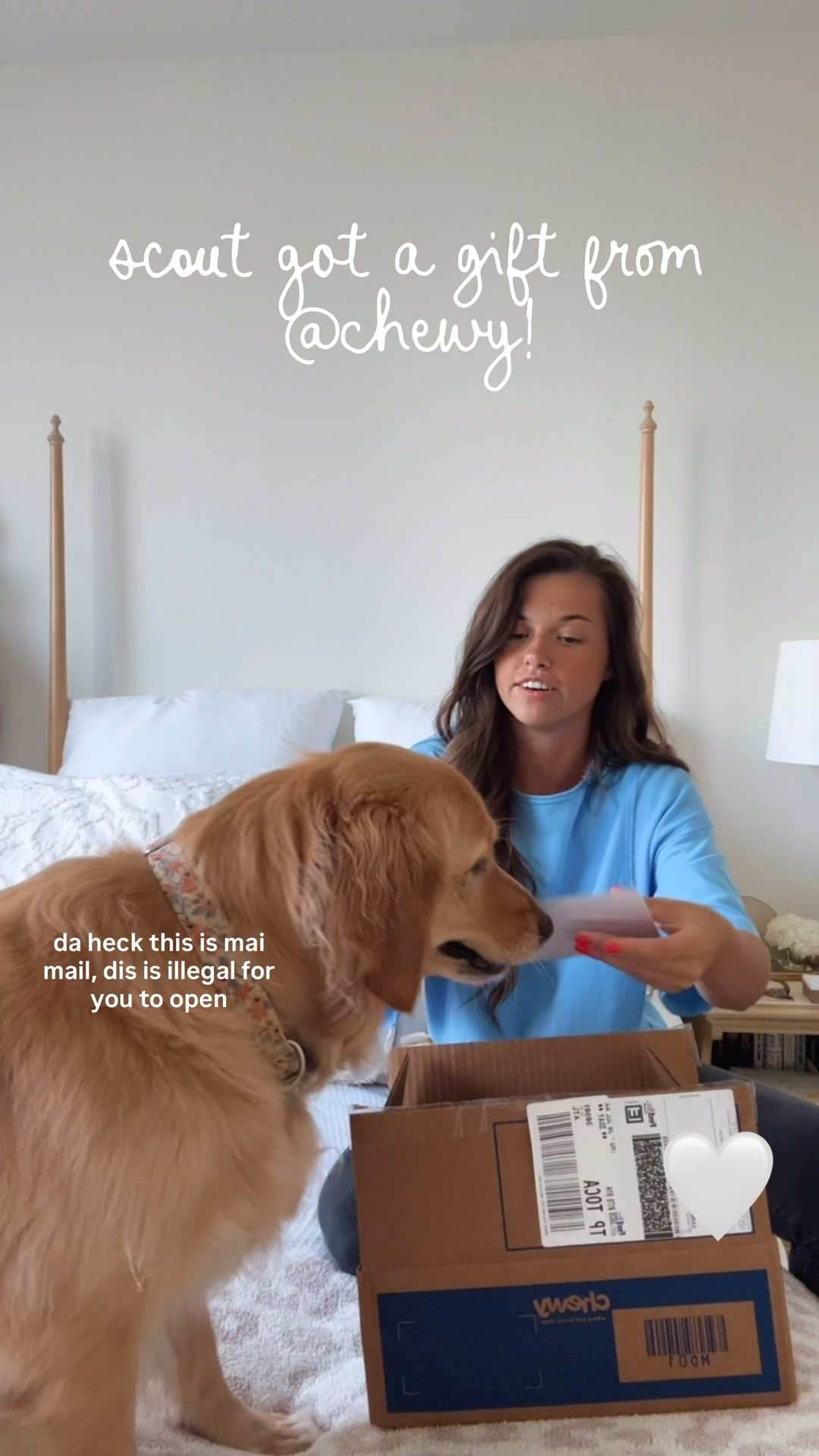 // scout got a gift from @Chewy 🫶🏻🥹 the best day!! #ad #chewygifted // some of scout’s favorites linked below 💙 //

#LTKSeasonal #LTKselfcare #LTKdayinmylife