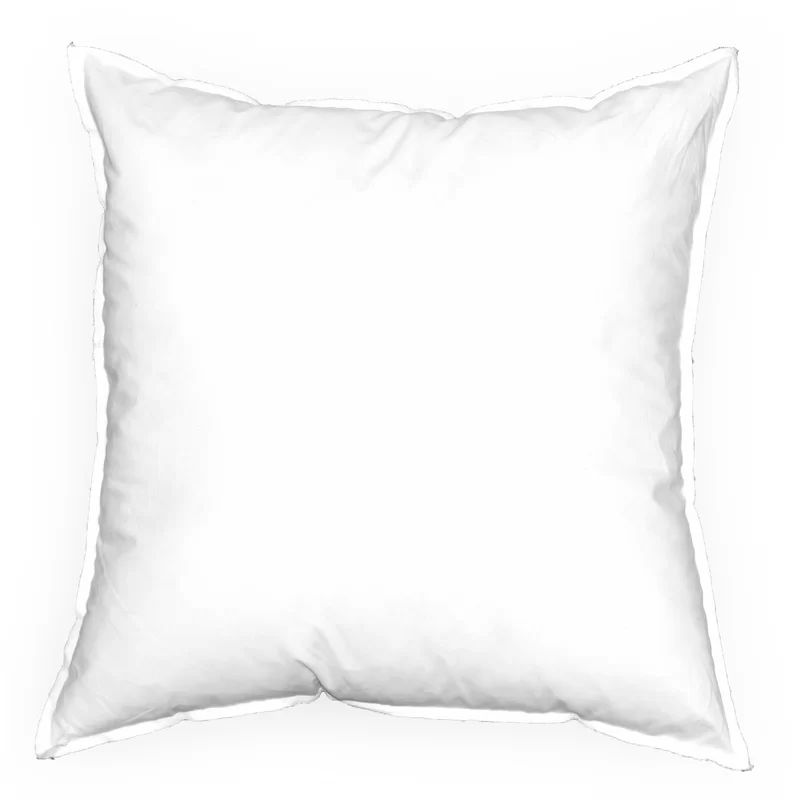 Beckwith Reversible Pillow Insert | Wayfair North America