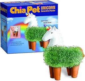 Chia Pet Unicorn with Seed Pack, Decorative Pottery Planter, Easy to Do and Fun to Grow, Novelty ... | Amazon (US)