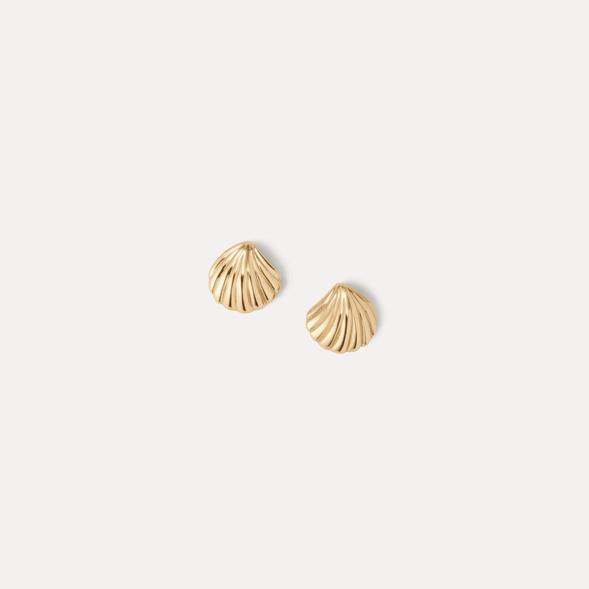 Baby Seashell Studs | GLDN