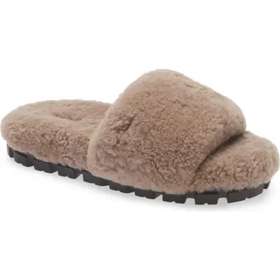 UGG(r) Cozetta Curly Genuine Shearling Slide Slipper in Thundercloud at Nordstrom, Size 7 | Nordstrom