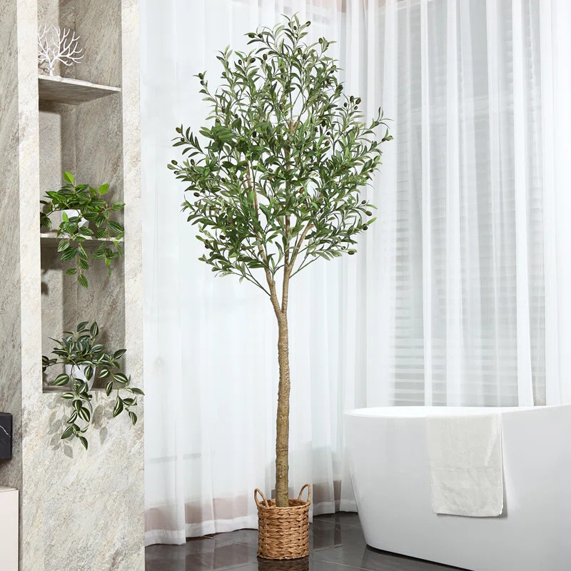 Adcock Faux Olive Tree in Rattan Basket | Wayfair North America