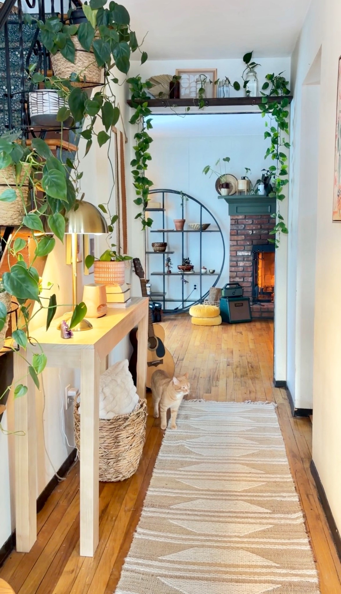 Faux pothos 🪴

#LTKHome #LTKSaleAlert #LTKmomlife