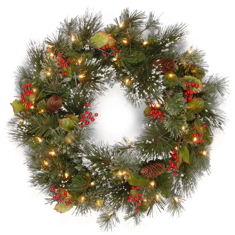 24 in. Wintry Pine Wreath with LED Lights | Wayfair North America