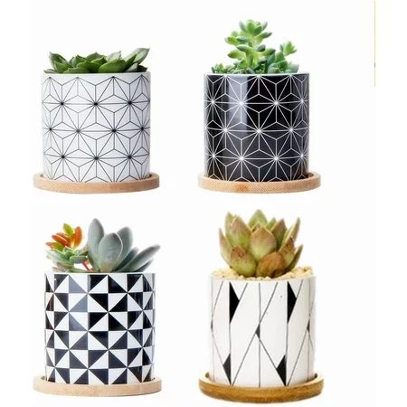 Succulent Plant Pots 3.0 Inch Geometric Graphics Cylinder Ceramic Planterfor Cactus Succulent Planti | Walmart (US)