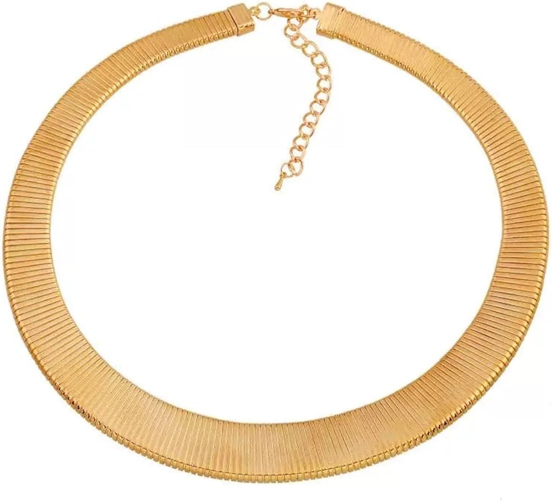 Chunky Stainless Steel Choker Silver Tone Necklace For Women, Gold Striped Flat Snake African Col... | Amazon (US)
