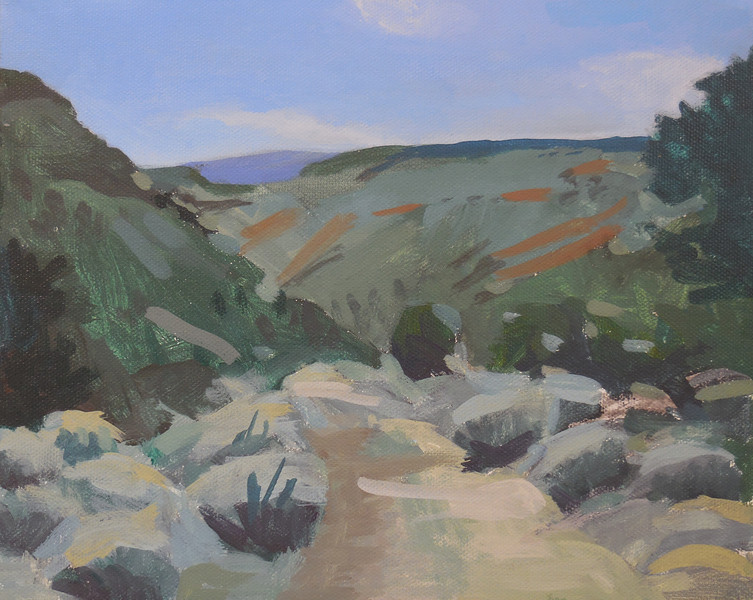 Rio Grande Gorge | Artfully Walls