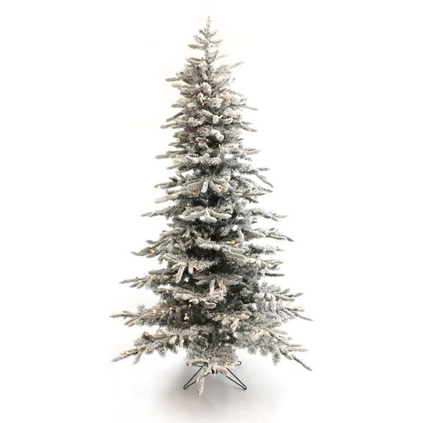Pre-Lit Slim Green Pine Artificial Christmas Tree with Clear/White Lights | Wayfair Professional