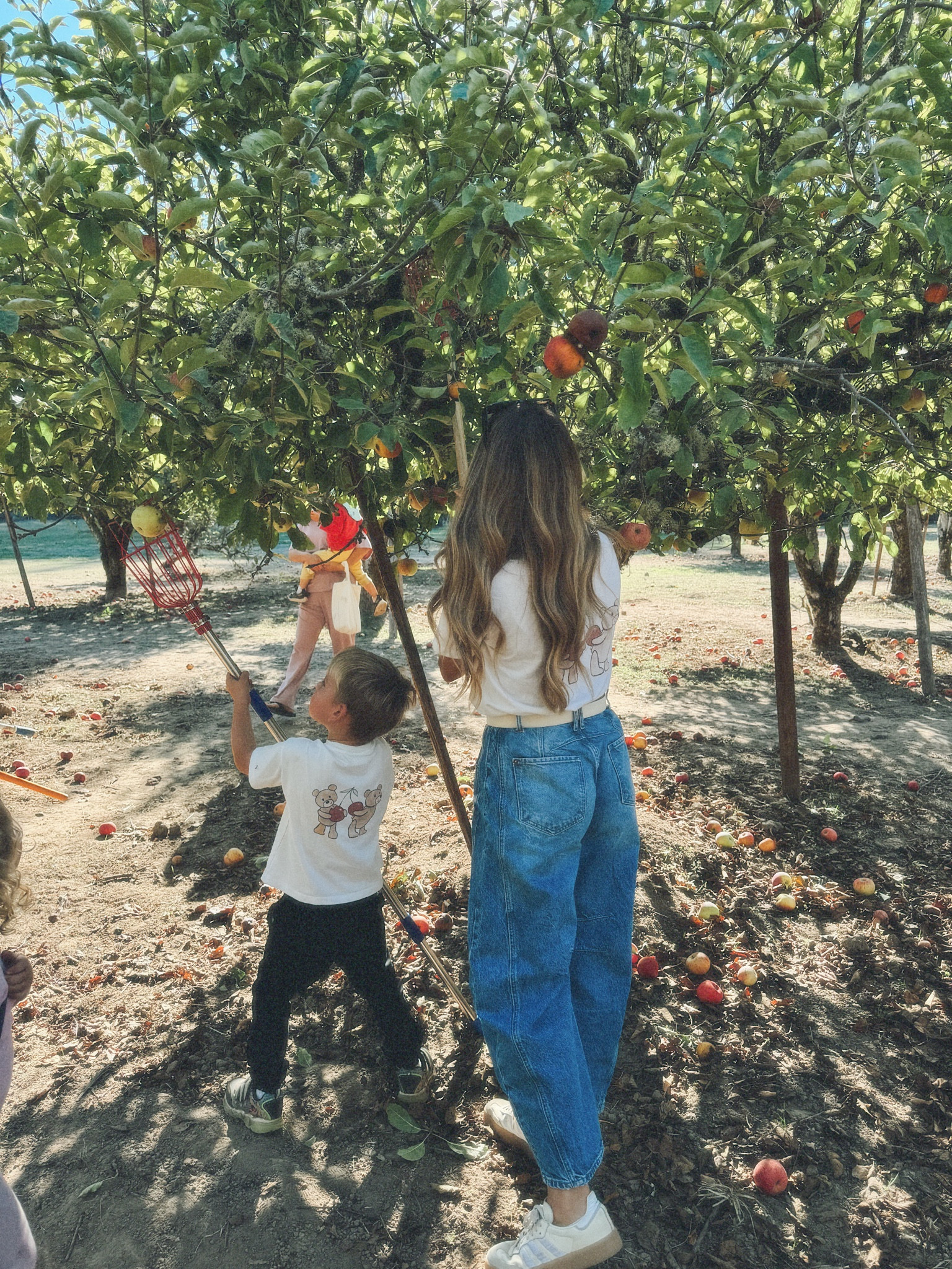 Apple picking in my cherry tee 🍎 🍒 



#LTKFindsUnder100 #LTKSeasonal #LTKHoliday
