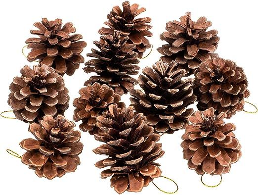 Whaline 25 Pcs Natural Pine Cones, Christmas Rustic Pinecones Bulk Ornaments with String for Craf... | Amazon (US)