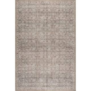 Hillstone Collection Traditional Vintage Medallion Delphi Dark Beige 9 ft. x 12 ft. Area Rug | The Home Depot