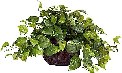Nearly Natural 6681 15in. Pothos with Decorative Vase Silk Plant | Amazon (US)