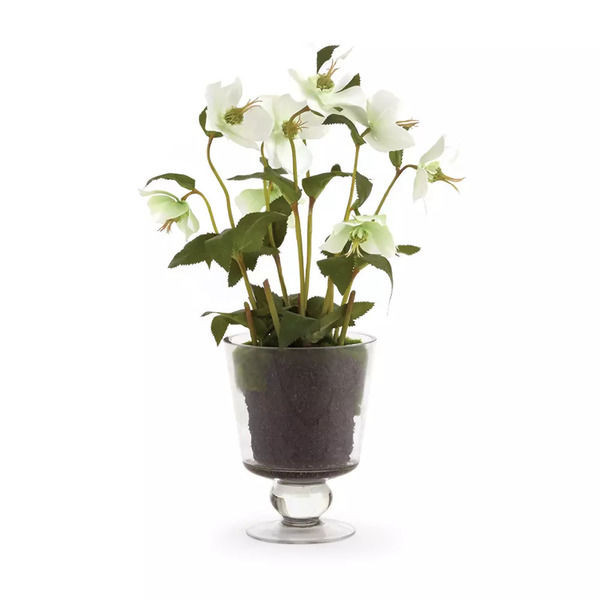 Hellebores Arrangement In Urn 16" | Scout & Nimble